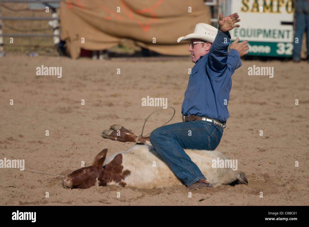 Rodeo calf roping winner Stock Photo Alamy
