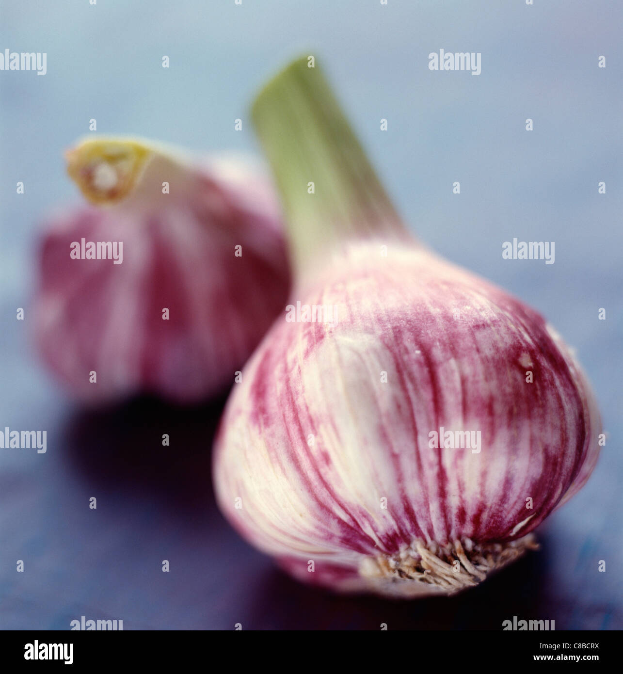 clove of garlic Stock Photo - Alamy