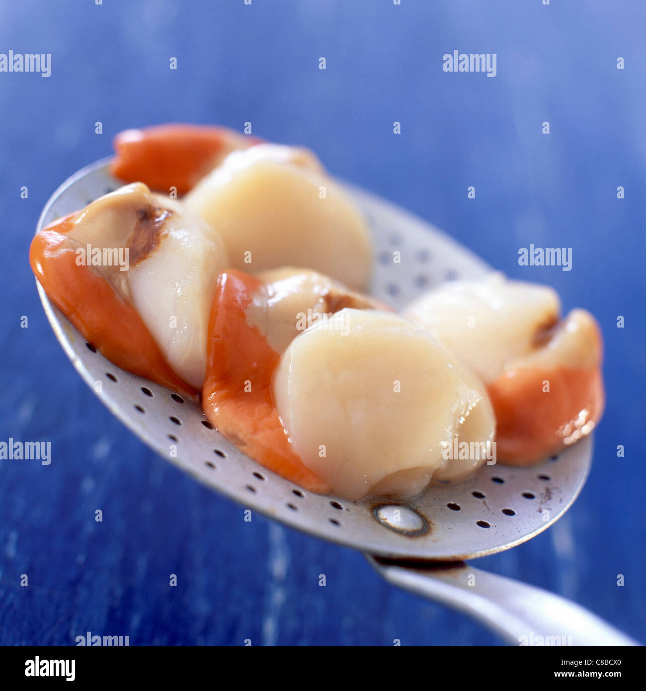 raw scallops with New Zealand coral tongue roe Stock Photo Alamy