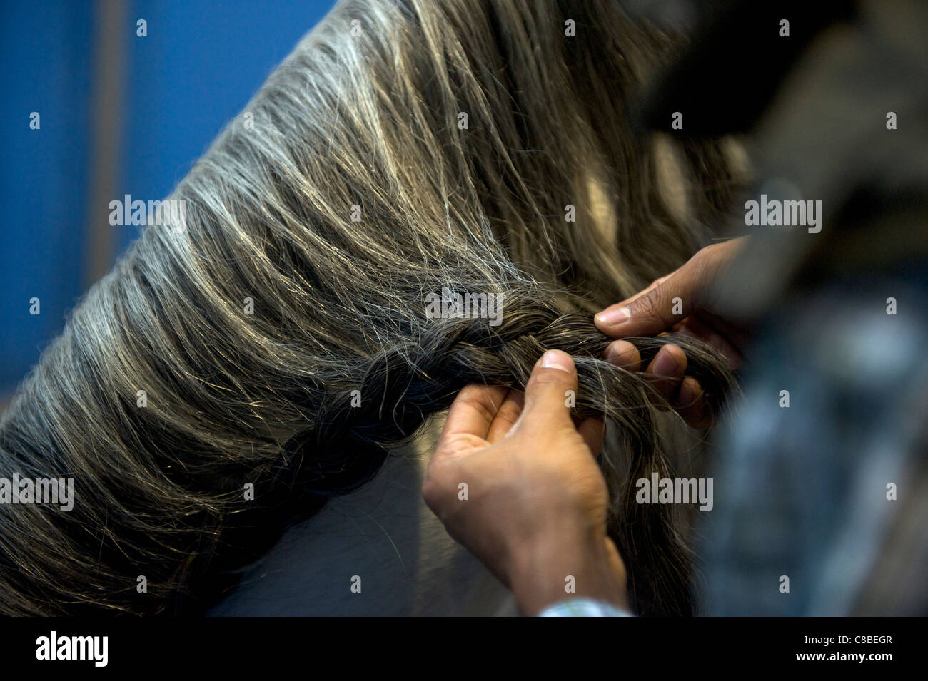 A man tidies a horse's mane during China Horse Fair 2011 in Beijing, China. 14-Oct-2011 Stock Photo