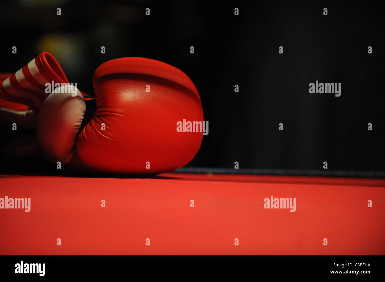 A boxers glove on the canvas of a boxing ring Stock Photo Alamy