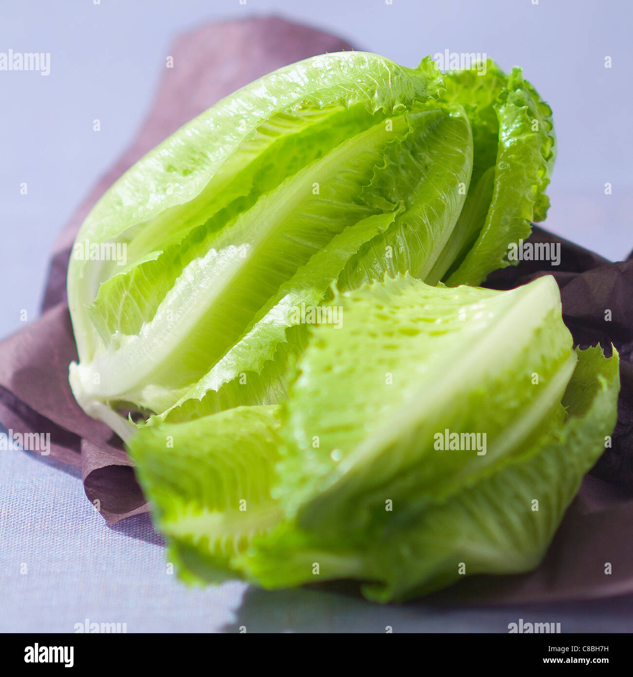 cos lettuce Stock Photo