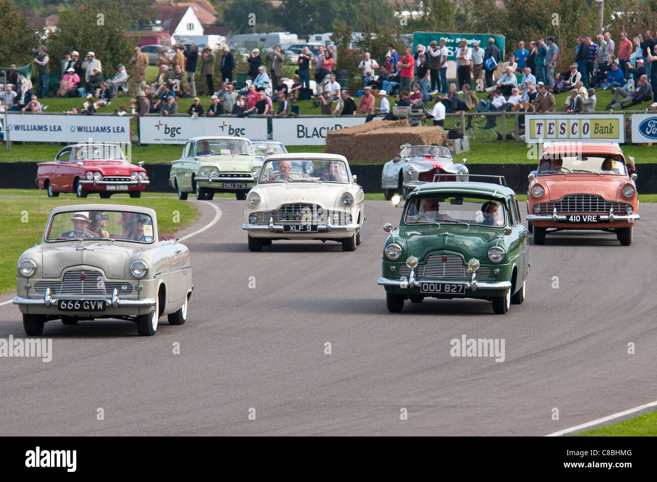 Lots of 1950s & 1960s Ford Cars Stock Photo