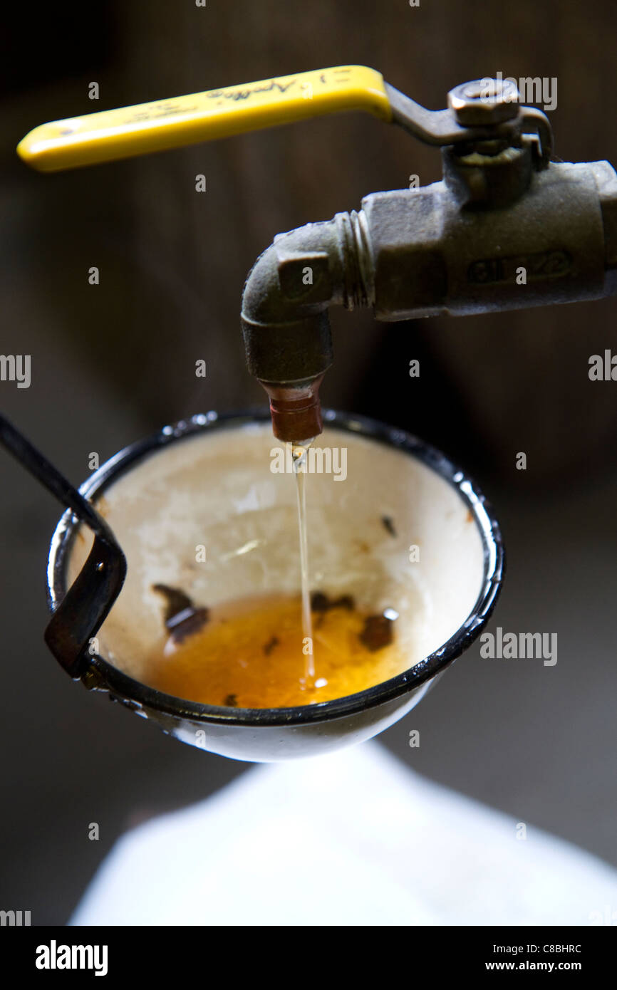 Maple syrup being poured from a spigot for testing in Lake Odessa, Michigan, USA. Stock Photo