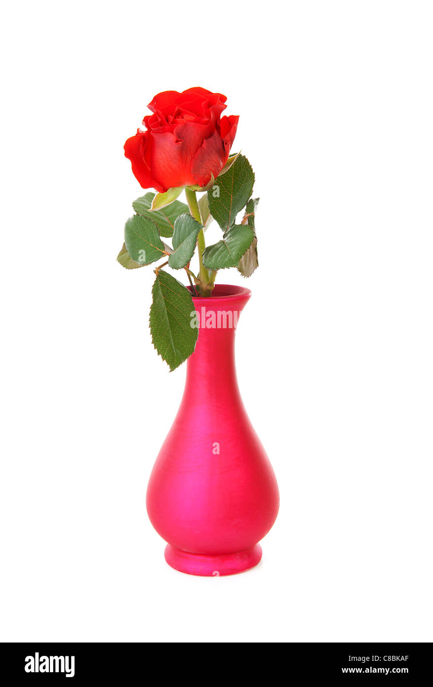 red rose in vase over white background Stock Photo - Alamy