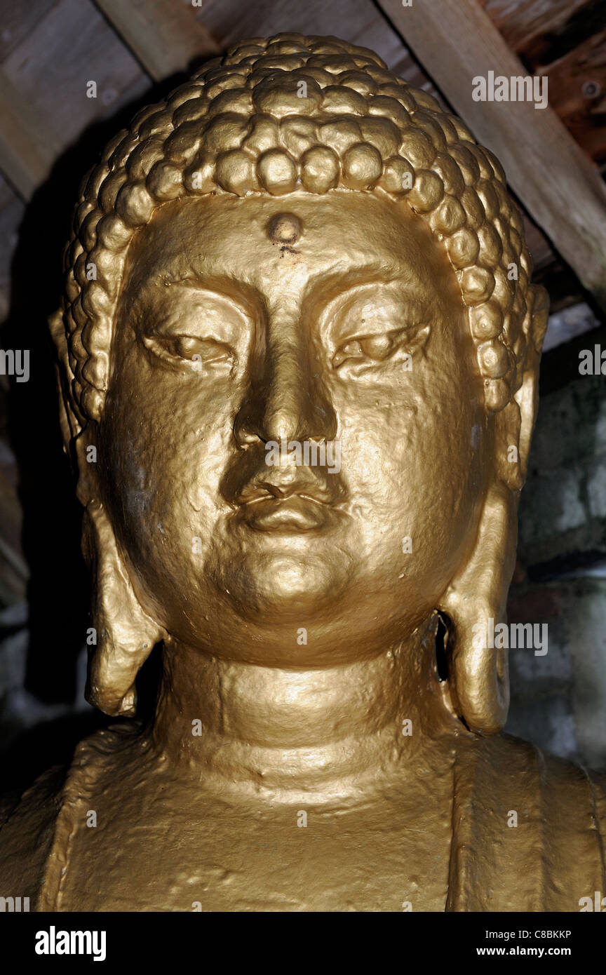 golden Buddha face portrait portmeirion wales uk Stock Photo