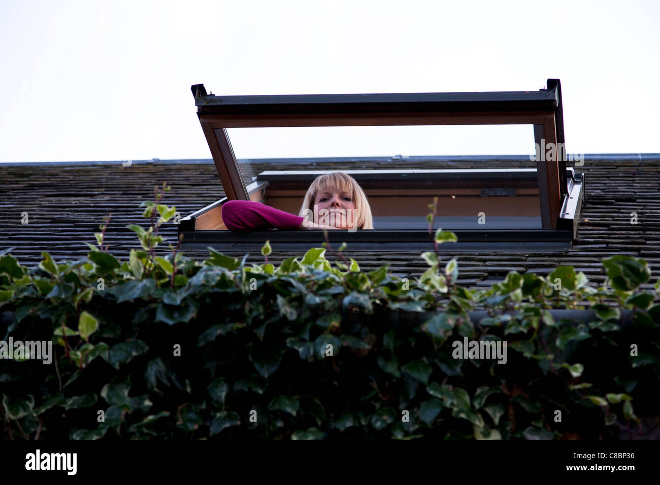 Gartmore, Scotland, lady looking out of a velux tilt window on dorma roof window open tilted up Stock Photo