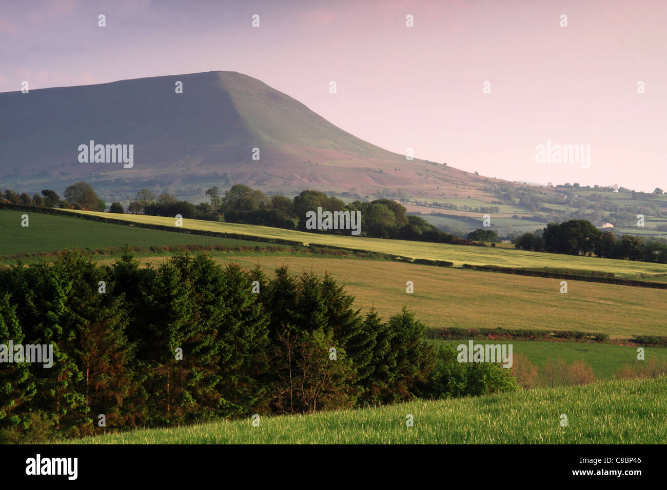 The mountain Mynydd Troed situated in The Black Mountains, Powys, Brecon Beacons National Park, Mid Wales Stock Photo