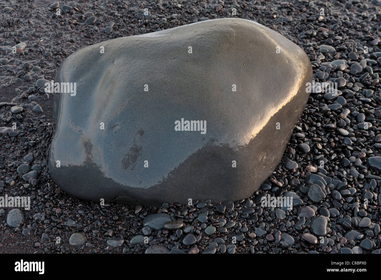 A smooth wet rock on a pebbled beach Stock Photo Alamy