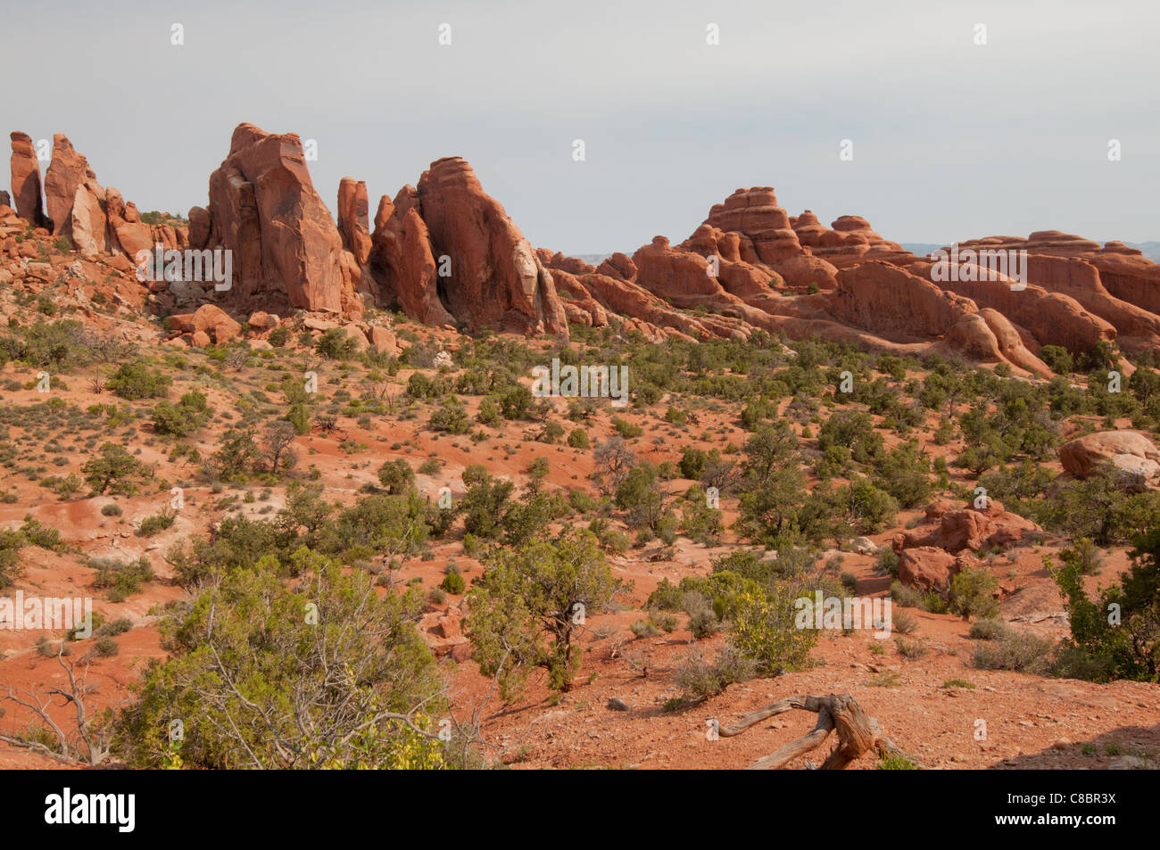 Fins are some of the many geologic formations within Arches National Park. Stock Photo