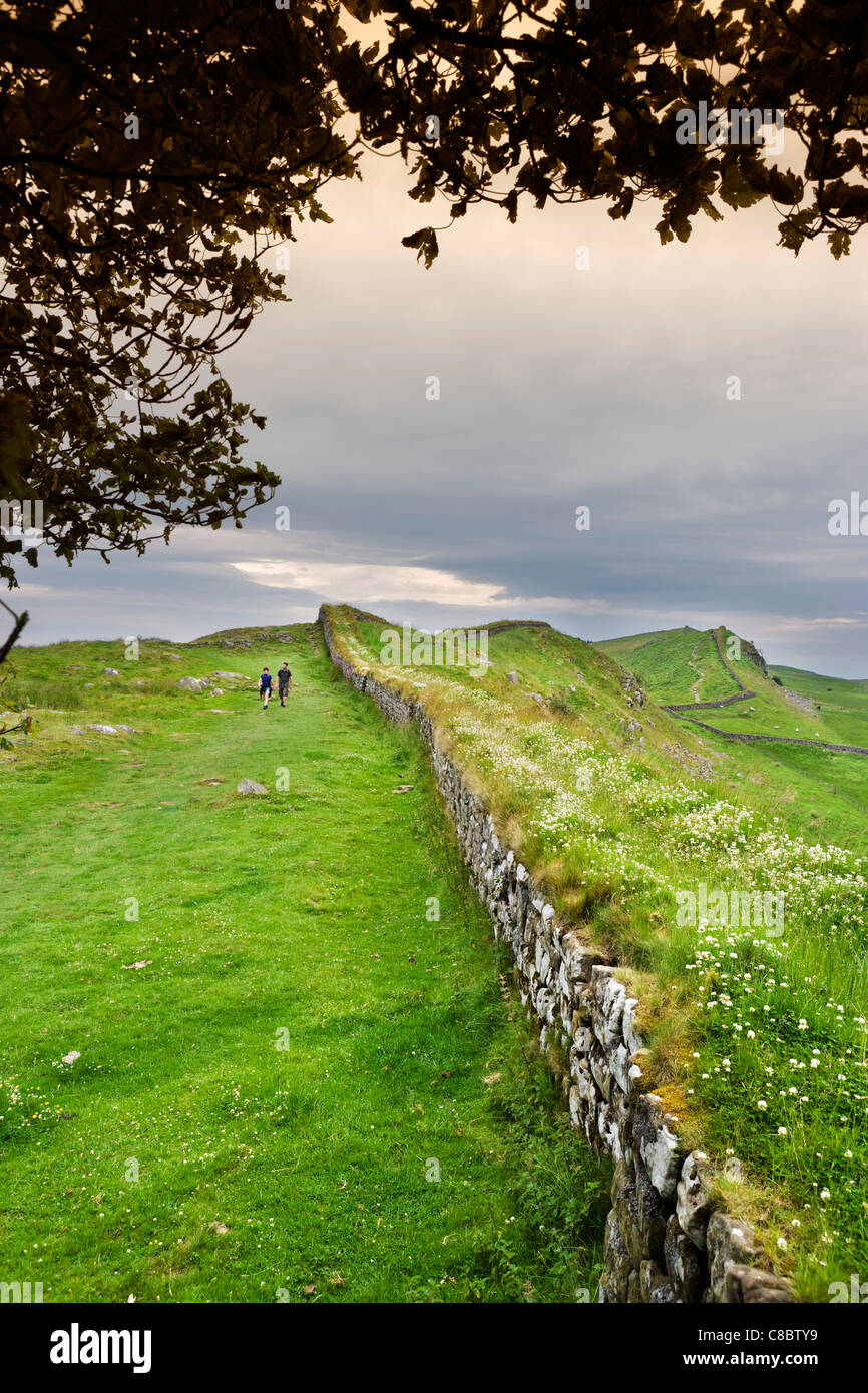 Walkers on Hadrians Wall Path near Housesteads, Northumberland, North East England, UK Stock Photo