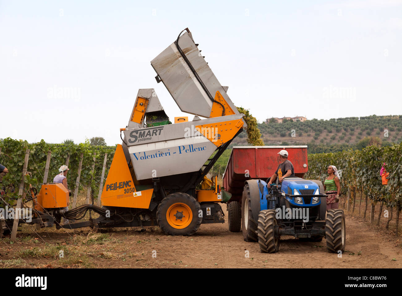 Grape Harvester High Resolution Stock Photography and Images Alamy