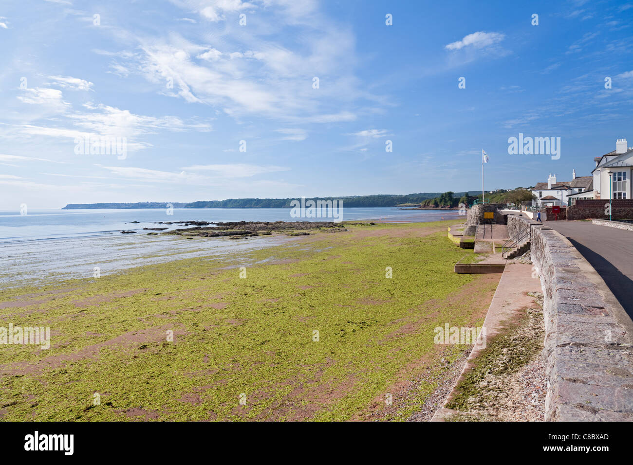 Goodrington Sands North, Devon, England, UK Stock Photo Alamy