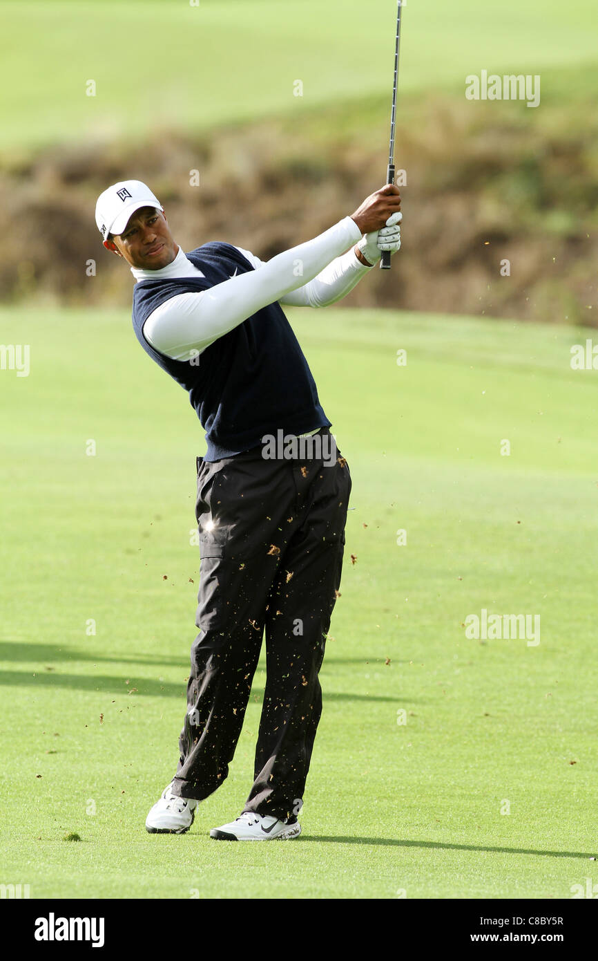 Tiger woods hi-res stock photography and images