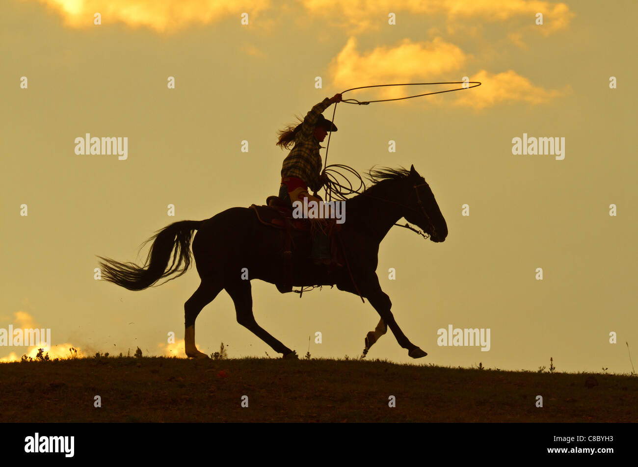 Lasso swinging hi-res stock photography and images - Alamy