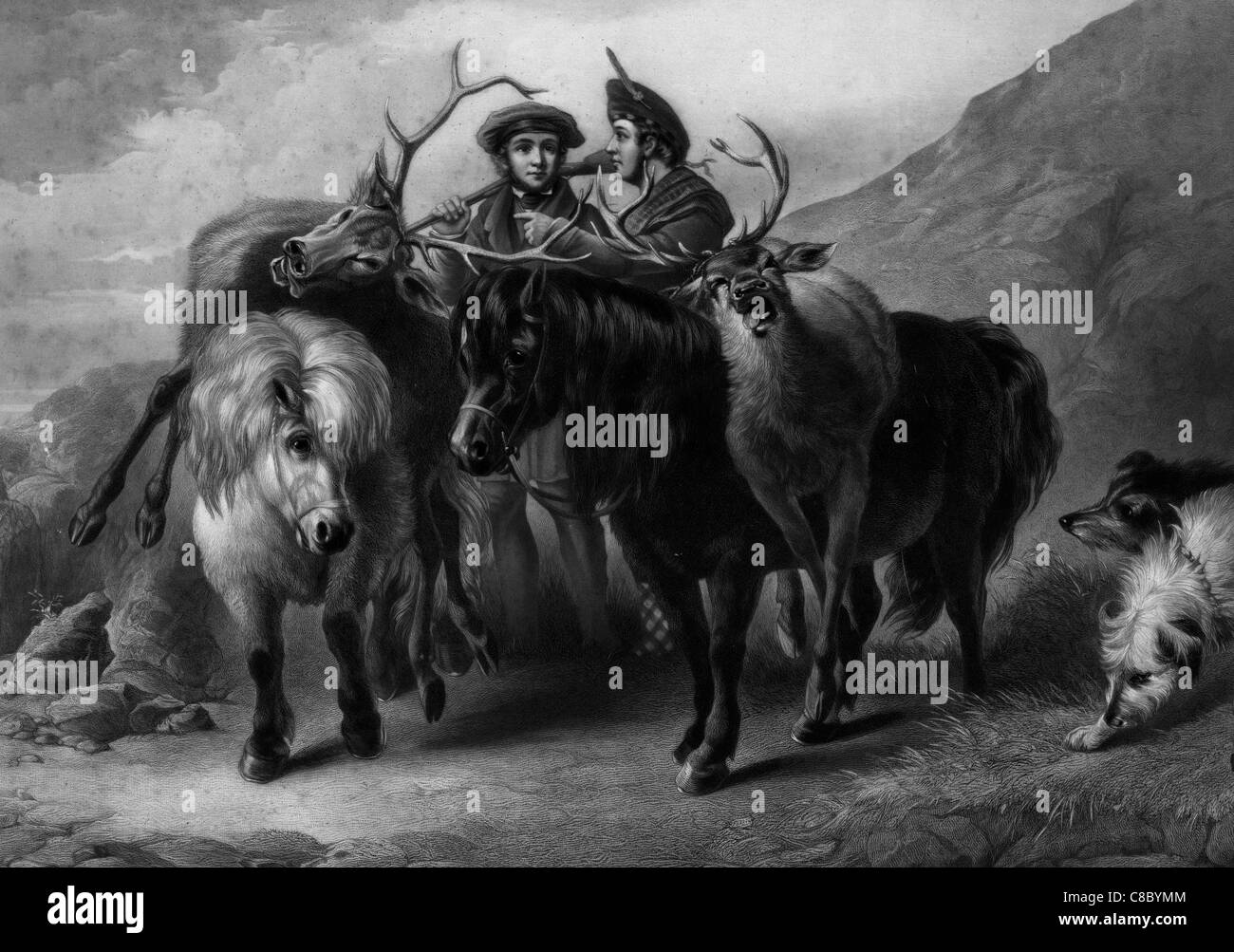 The successful deer stalkers deer hunters Stock Photo Alamy