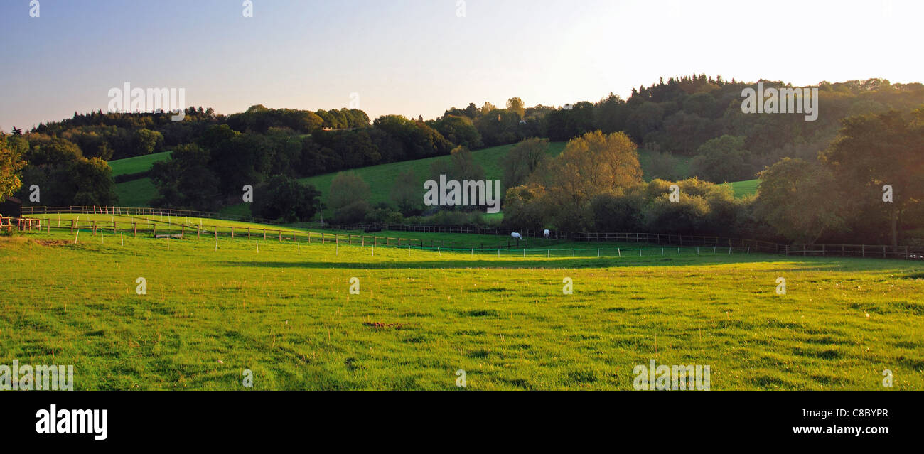Countryside near Beenham, Berkshire, England, United Kingdom Stock ...