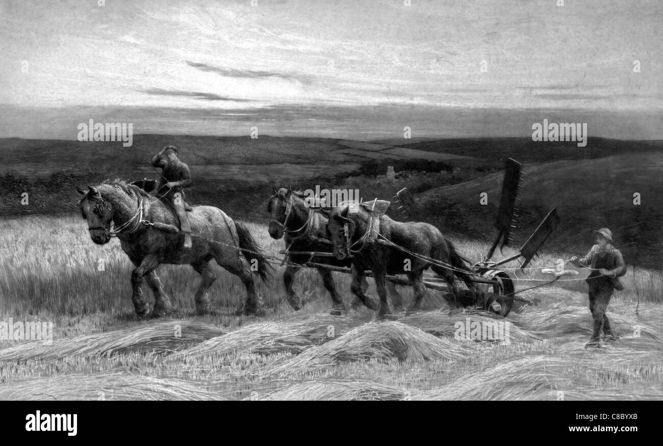 Farmer plow horse Black and White Stock Photos & Images - Alamy