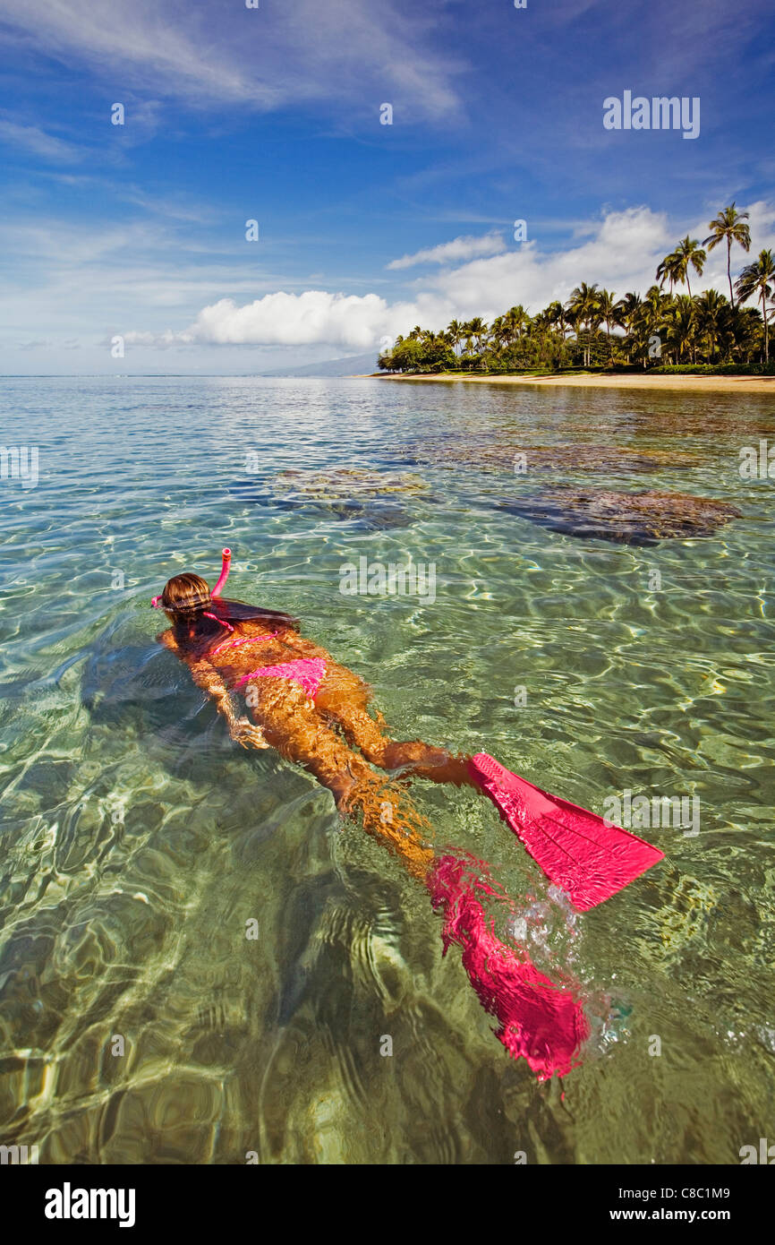 An athletic woman snorkeling in Lahaina, Maui, Hawaii Stock Photo Alamy
