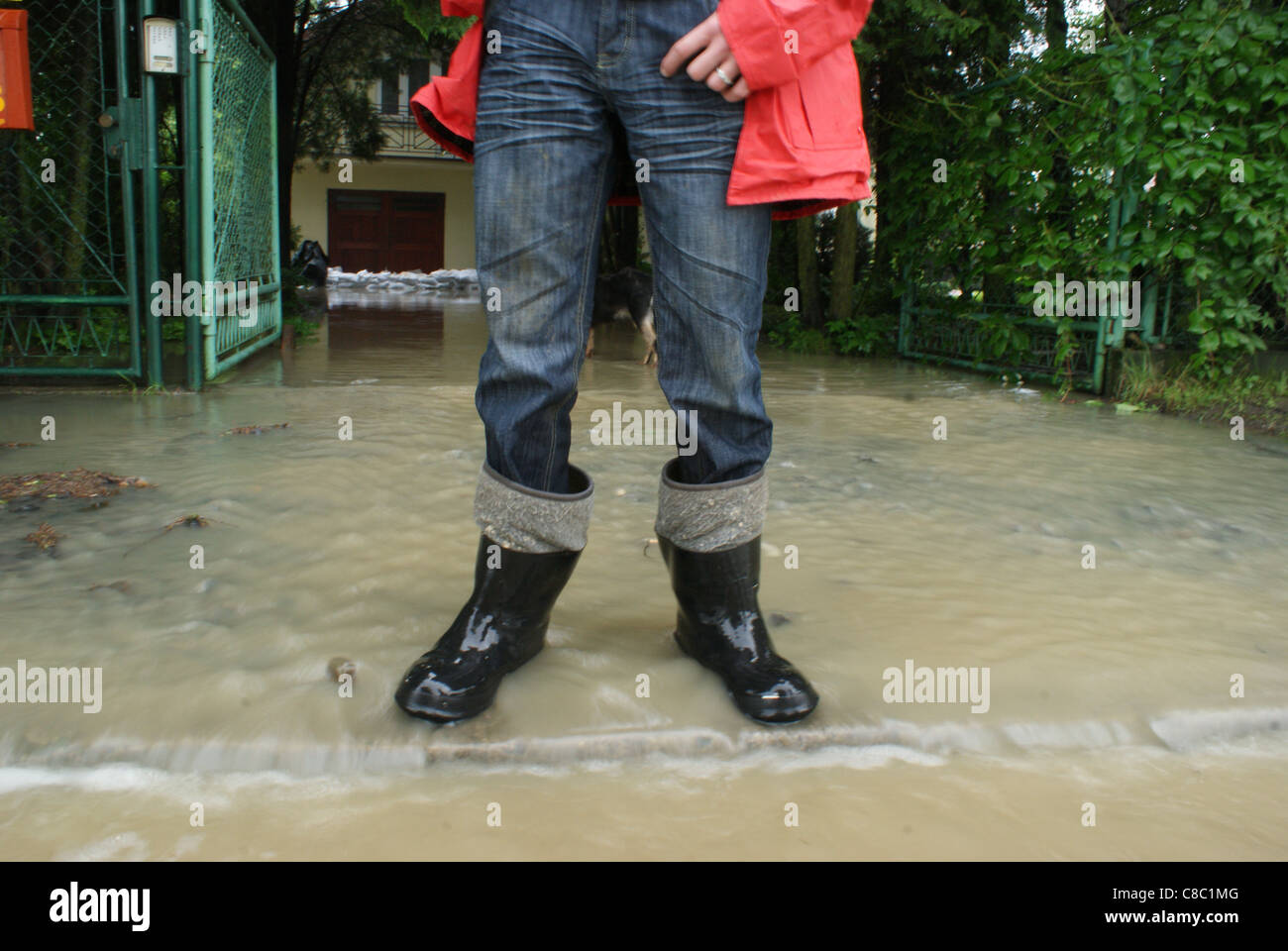 Young host looking on the street flooded by water comes from Jasiolka river during second flood in Poland in 2010. Stock Photo