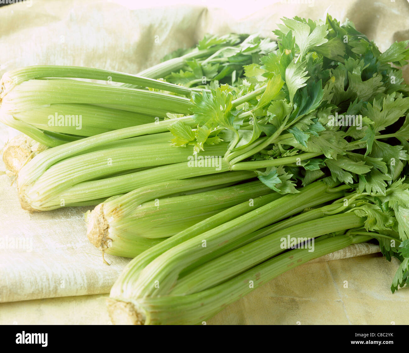 Celery sprig hires stock photography and images Alamy