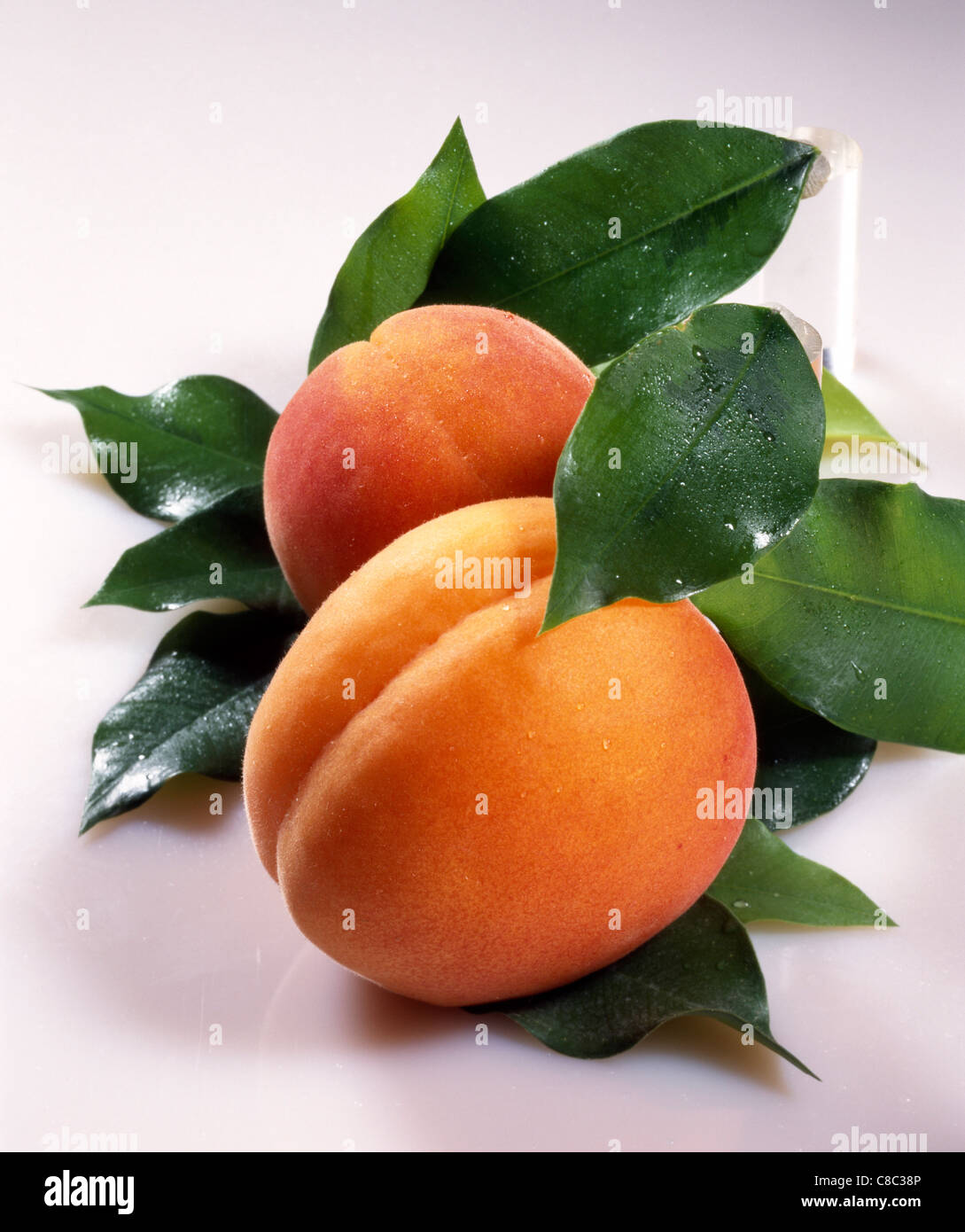 Apricots and leaves Stock Photo Alamy