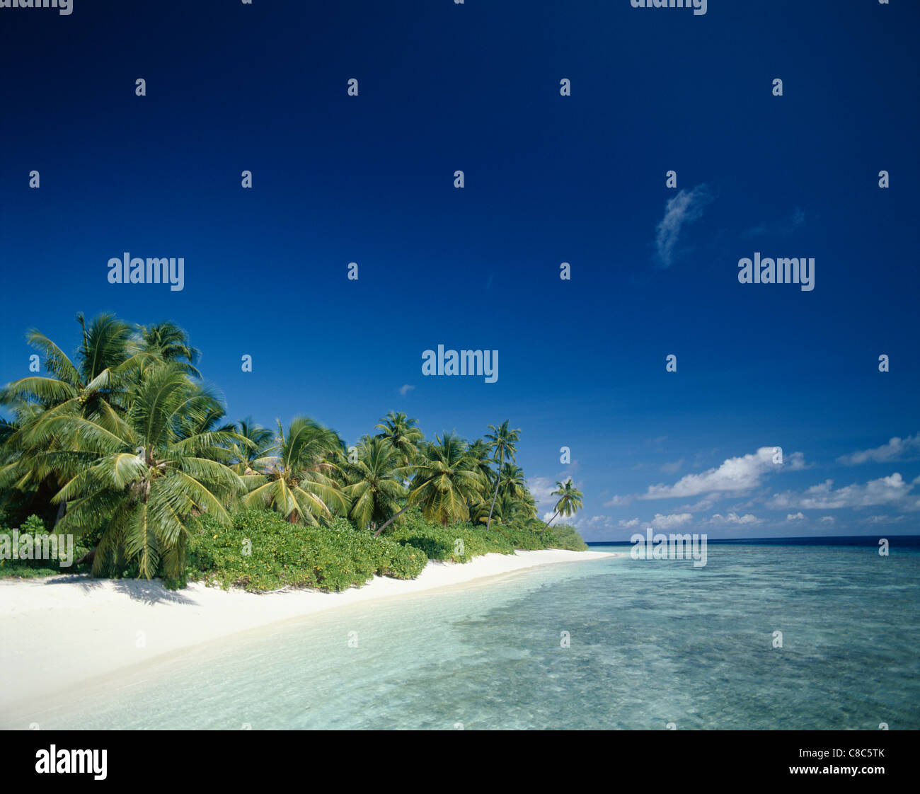 Atoll Palm Trees Tropical Beach Maldive Islands Stock Photo Alamy