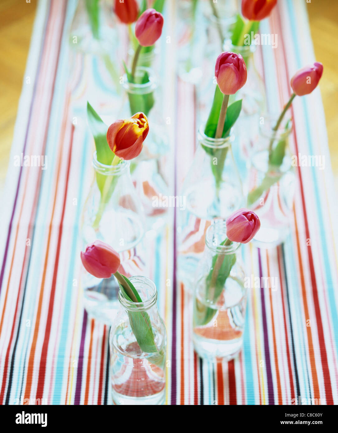 vases with tulips Stock Photo Alamy