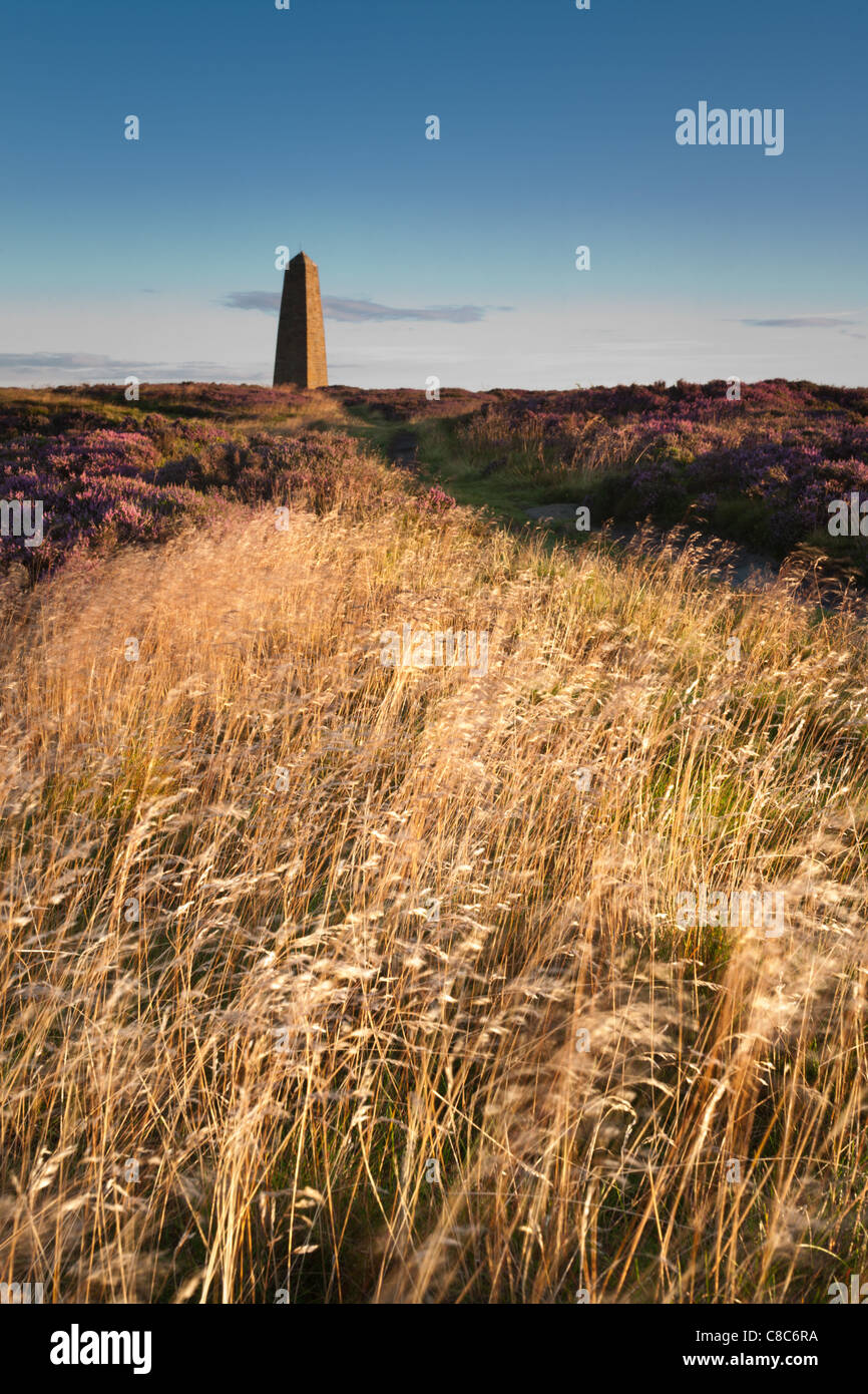 Captain Cooks Monument at dawn on Easby Moor North Yorkshire Stock