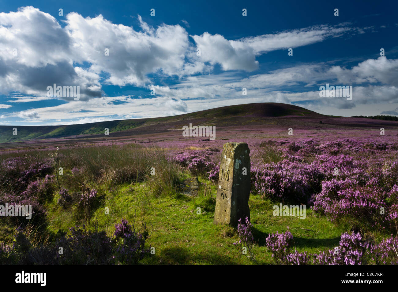 Marker Stone, Heather, Black Hambleton, North Yorkshire Stock Photo