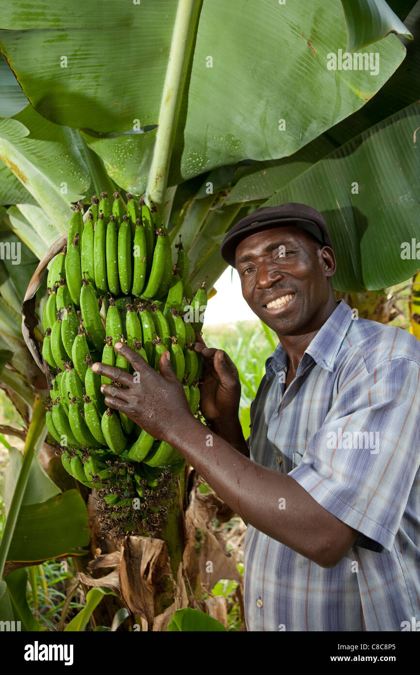 A man displays bananas growing on his farm in Mongu, Zambia, Southern