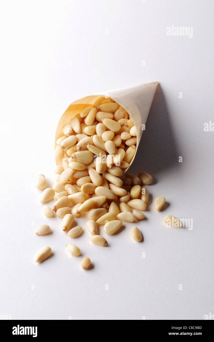 Cone of pinenuts Stock Photo