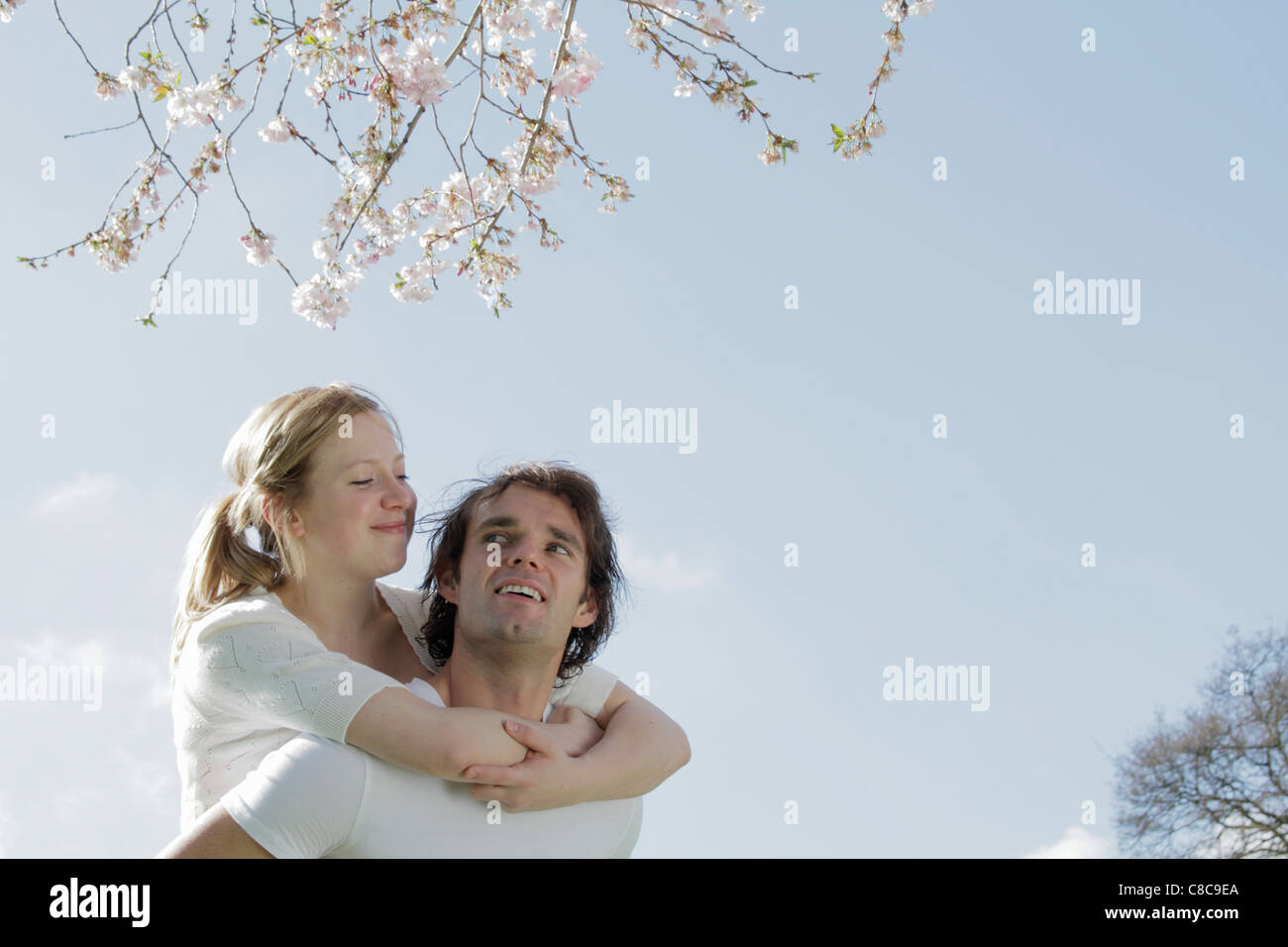 Couple hugging under cherry blossom tree Stock Photo