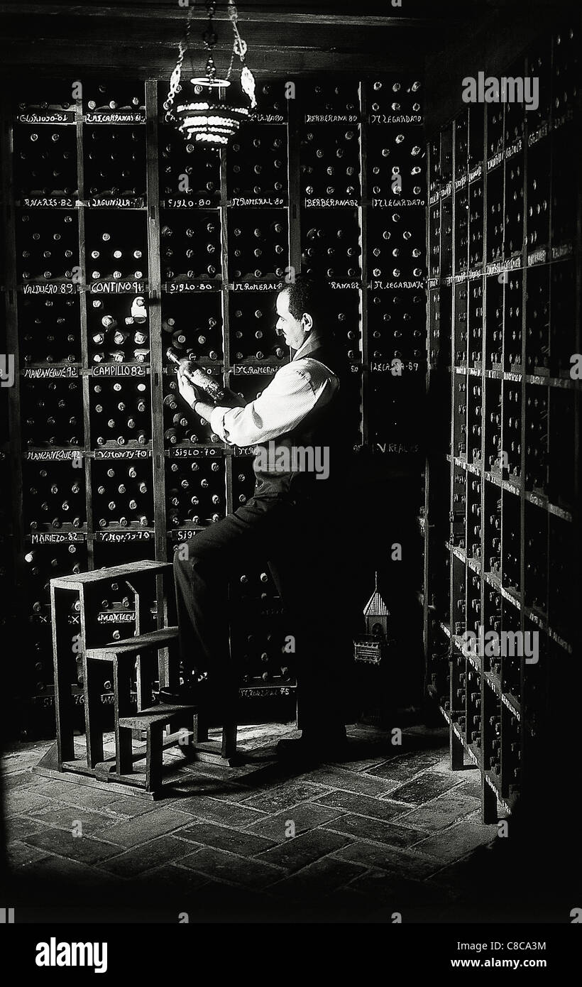Man at wine rack hi-res stock photography and images - Alamy