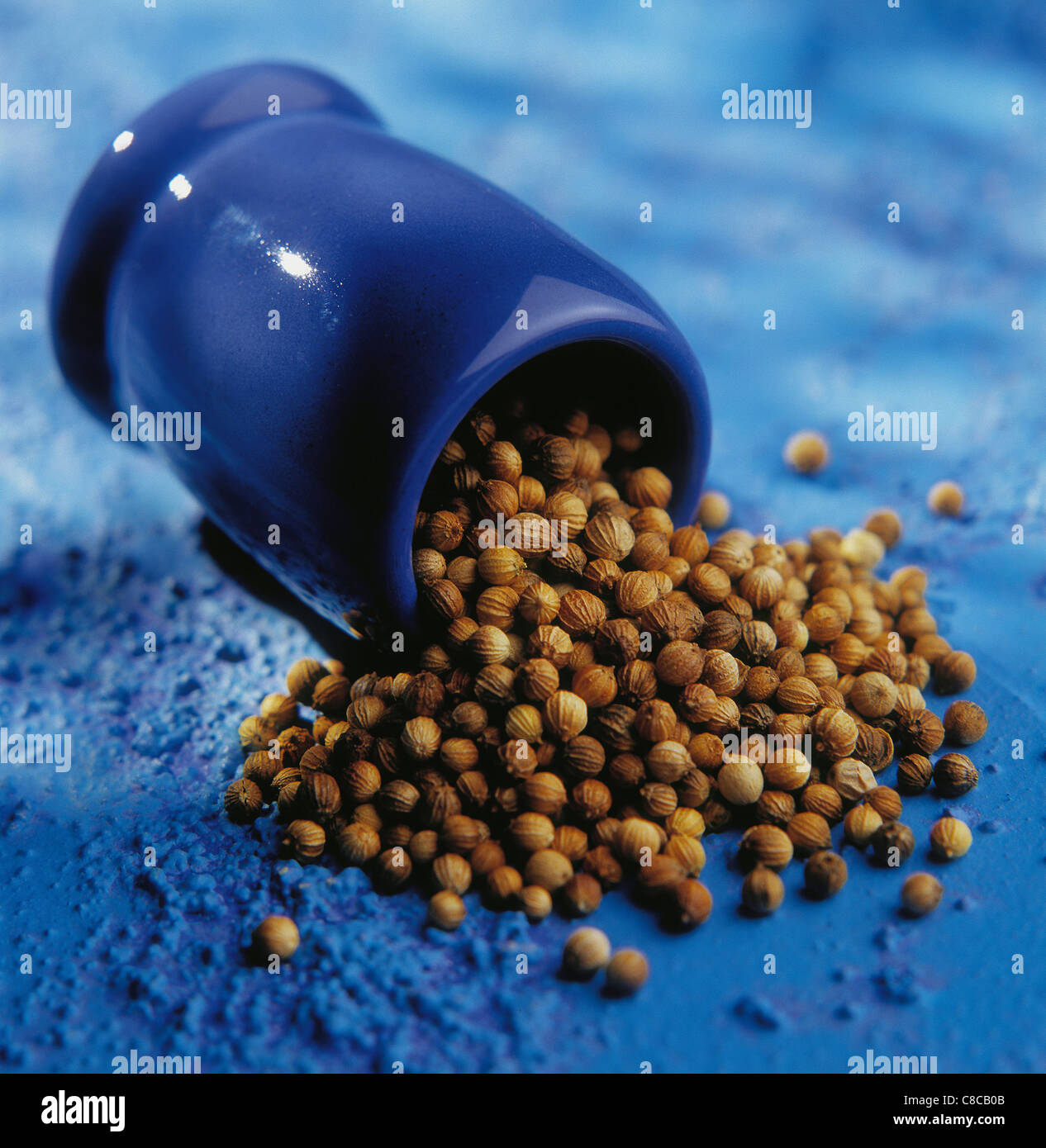 Coriander grains Stock Photo