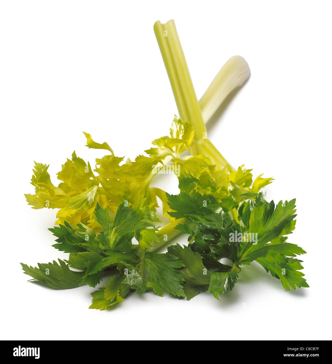 Celery with leaves Stock Photo Alamy