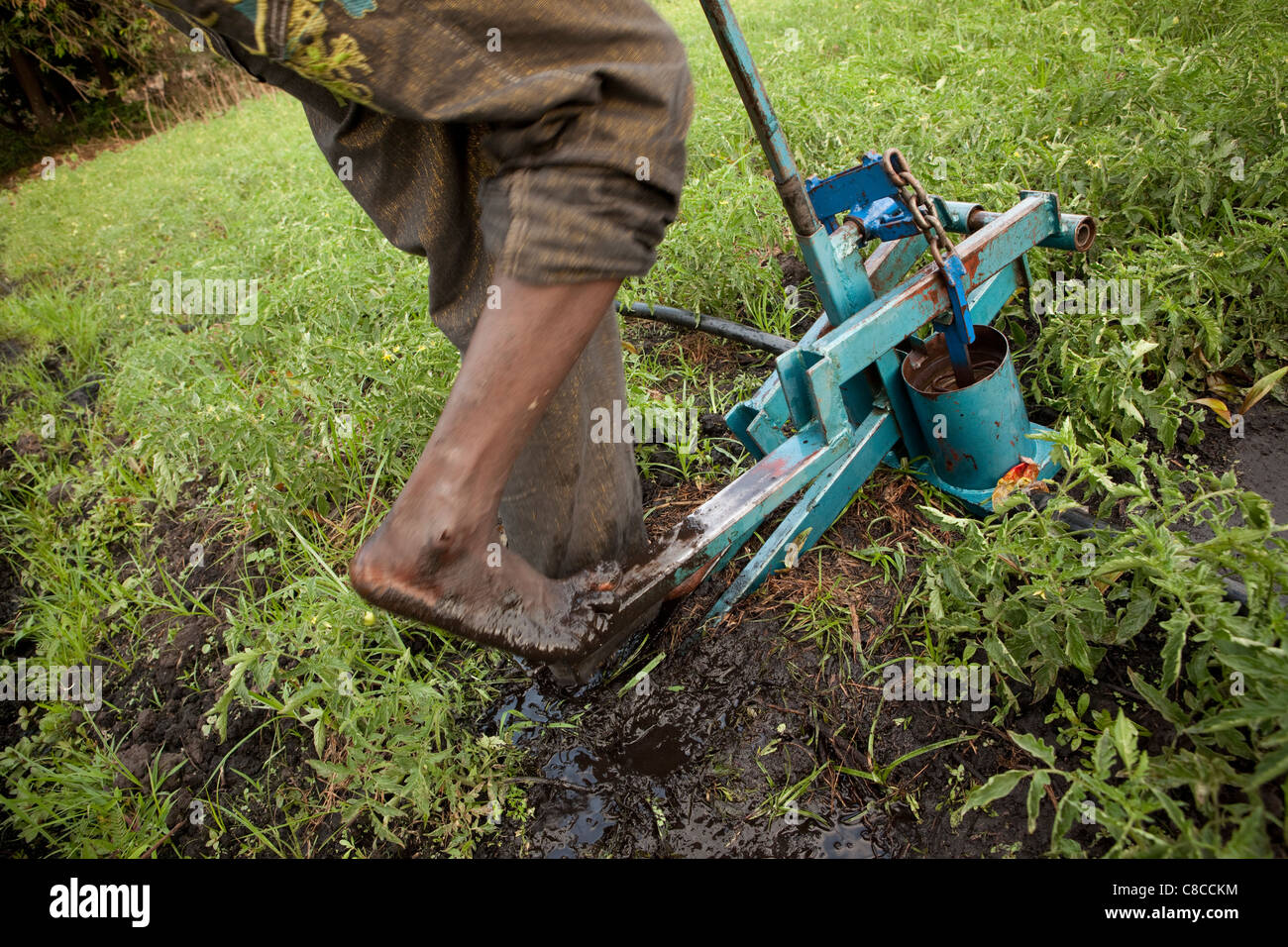 A young man uses a treadle pump to irrigate vegetable fields in Mongu, Zambia, Southern Africa. Stock Photo