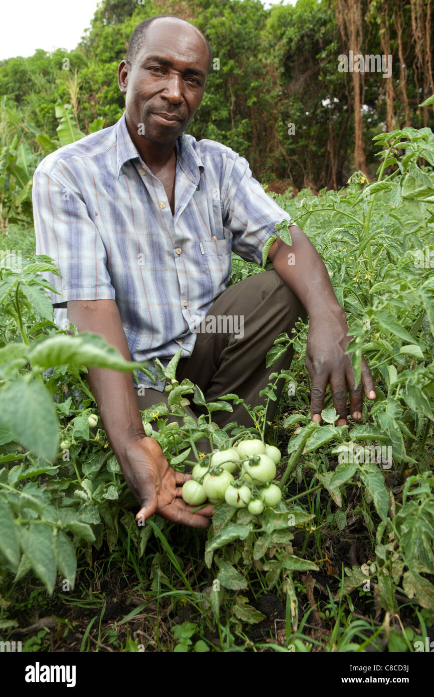 A farmer displays his tomato crop in Mongu, Zambia, Southern Africa
