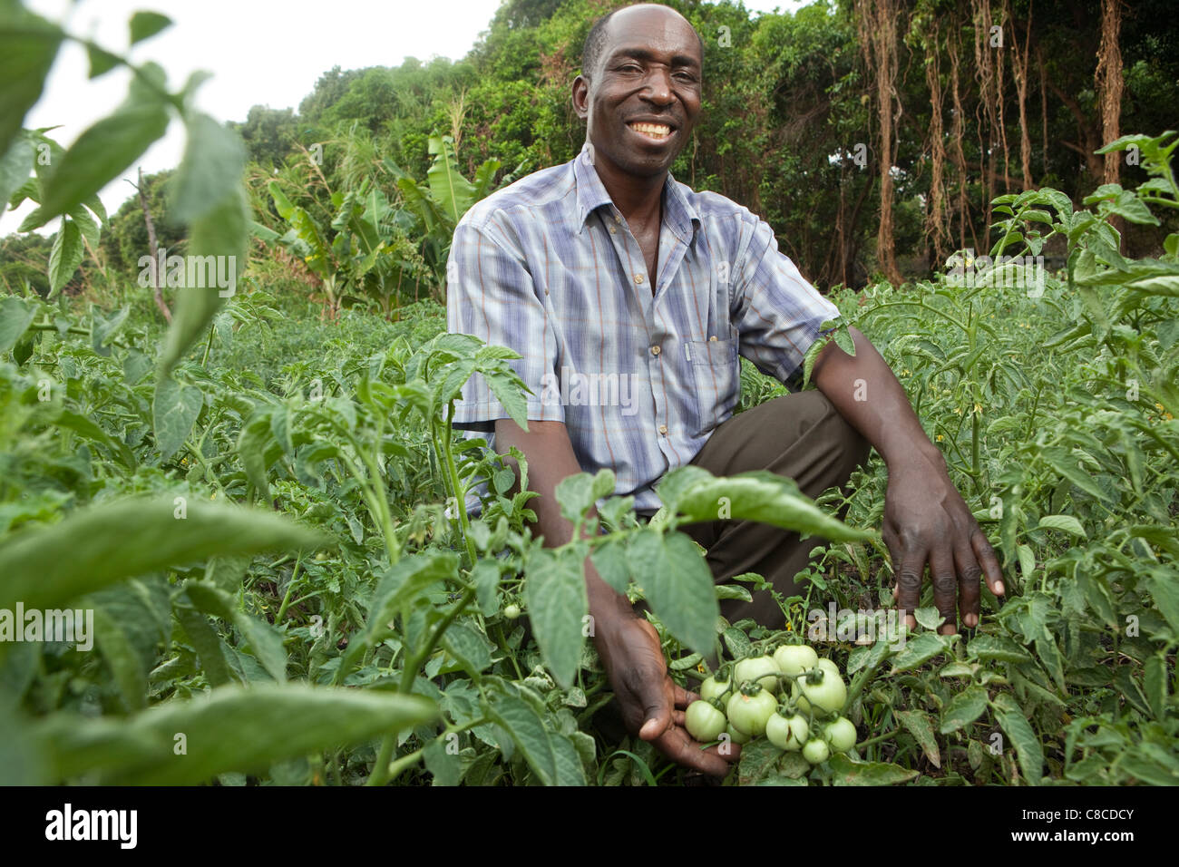 A farmer displays his tomato crop in Mongu, Zambia, Southern Africa