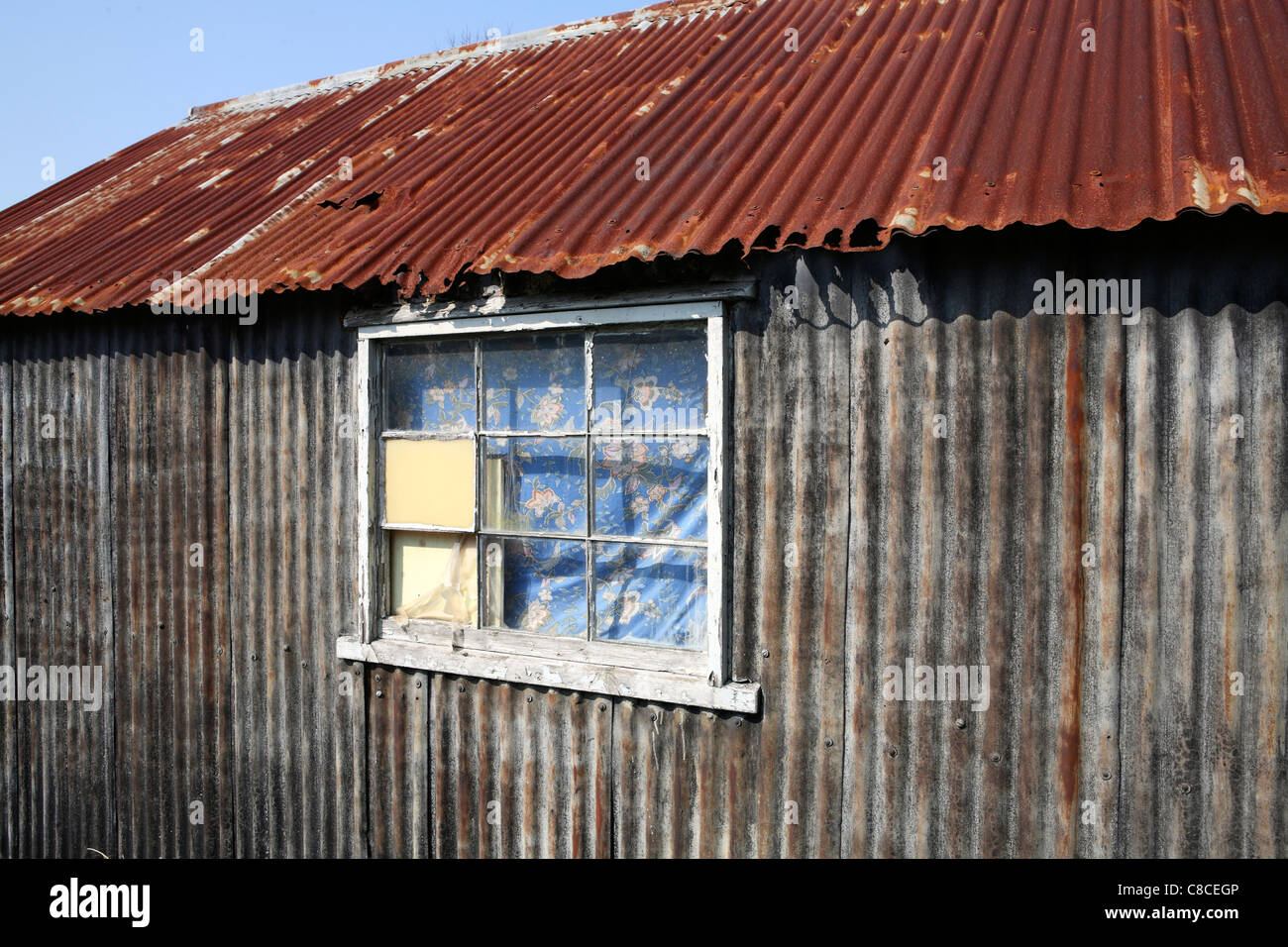 Abandoned corrugated tin shack / shed, with rusty / rusting roof and