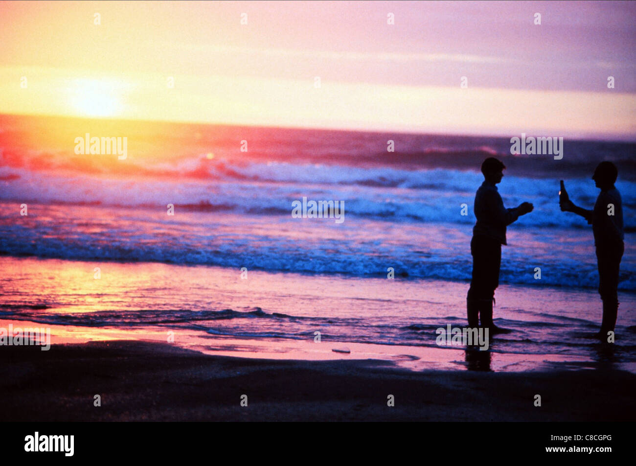 Turtle Diary High Resolution Stock Photography and Images Alamy