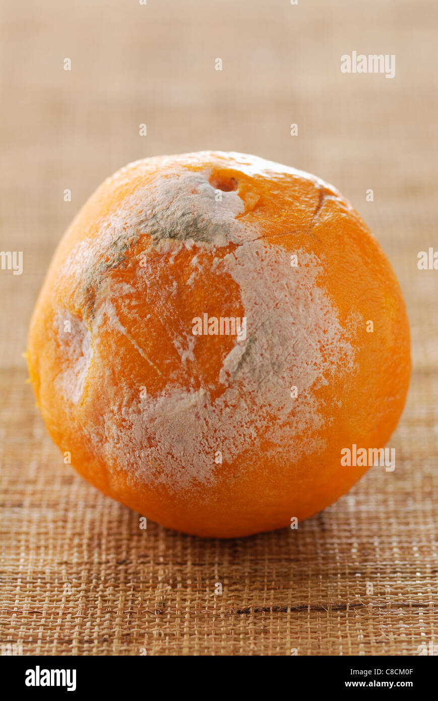 Rotten orange Stock Photo