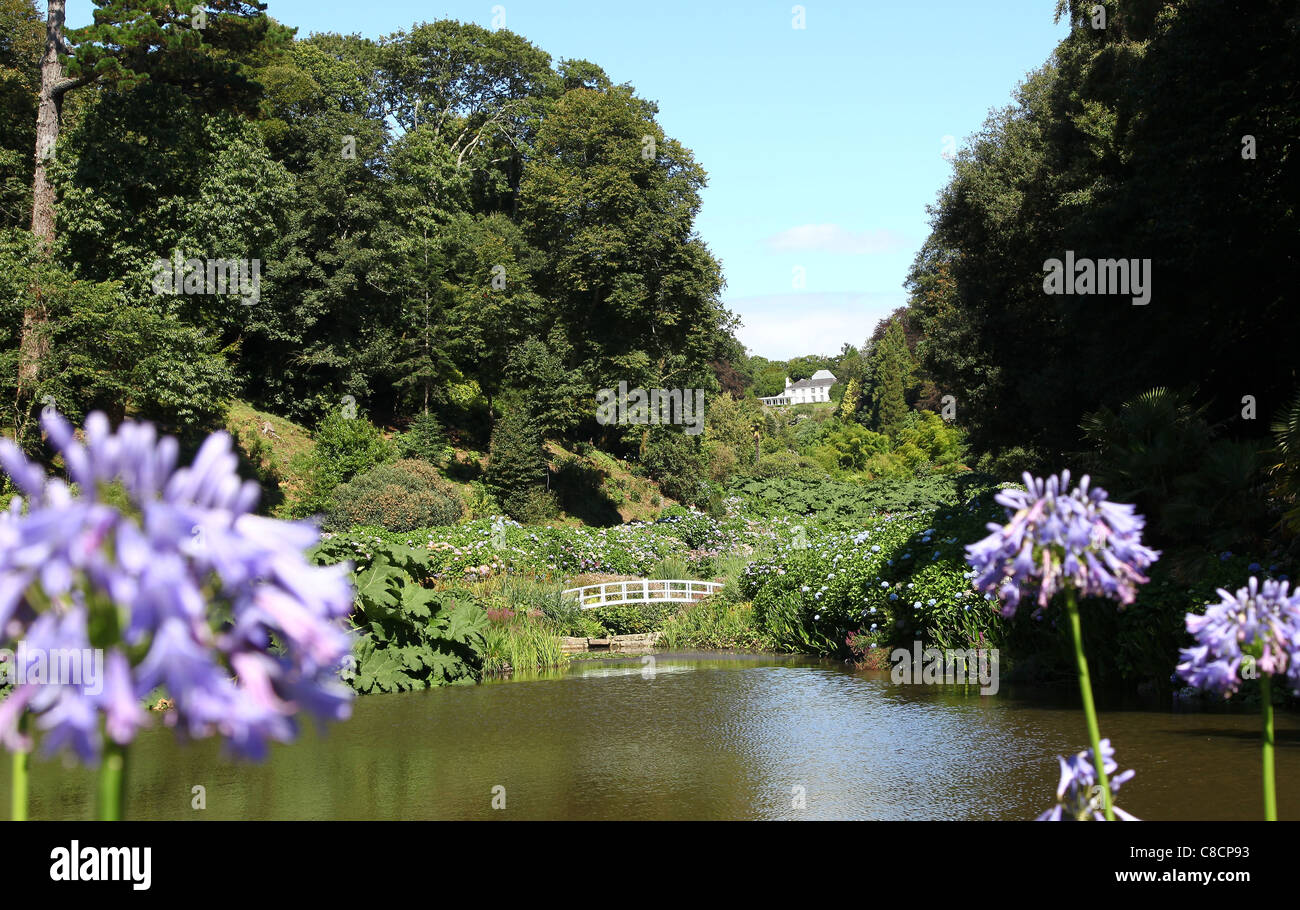 The lake, foot bridge and house at Trebah Gardens, Mawnan Smith, Nr