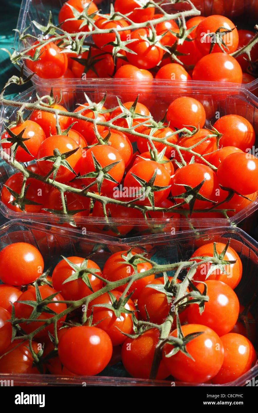 Punnets of cherry tomatoes Stock Photo - Alamy