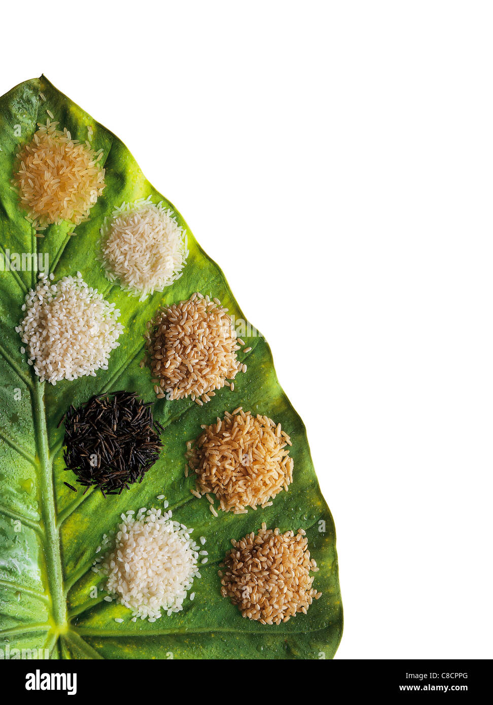 types of rice Stock Photo