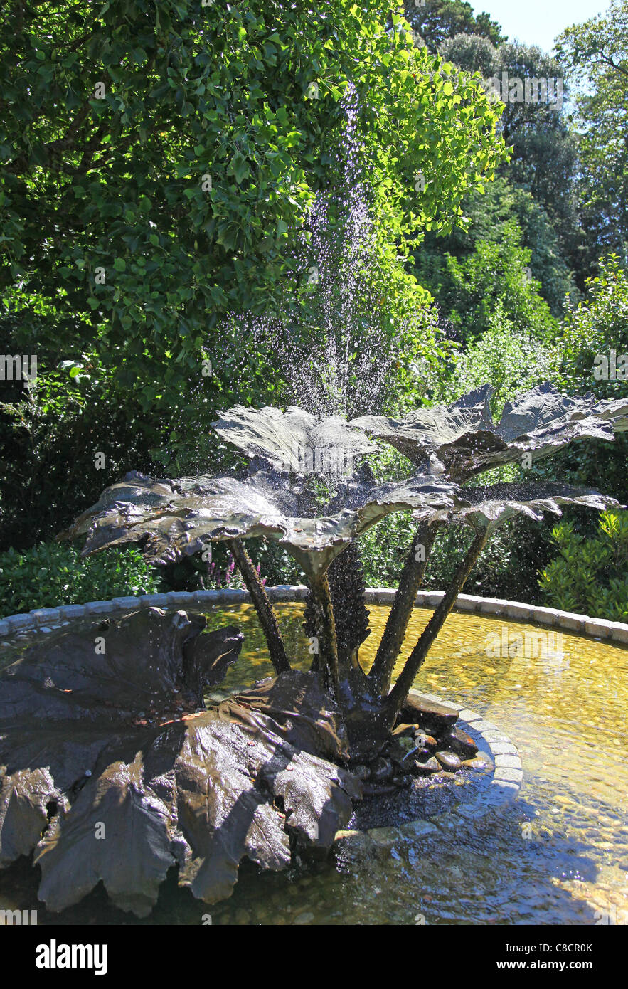 The Gunnera Fountain at Trebah Gardens, Mawnan Smith, Nr Falmouth, Cornwall, West Country, England, UK Stock Photo