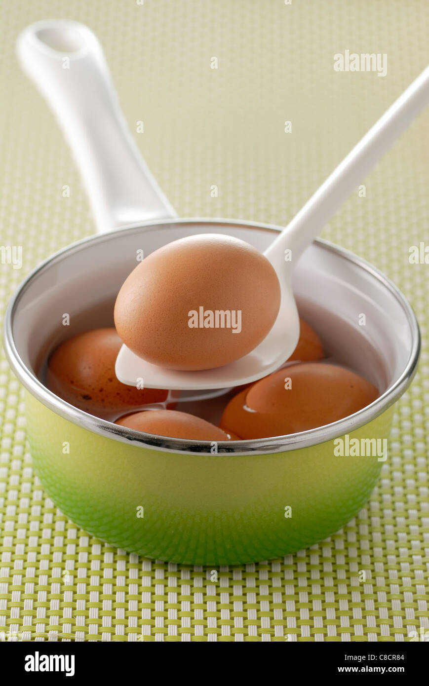 Boiling an egg Stock Photo Alamy