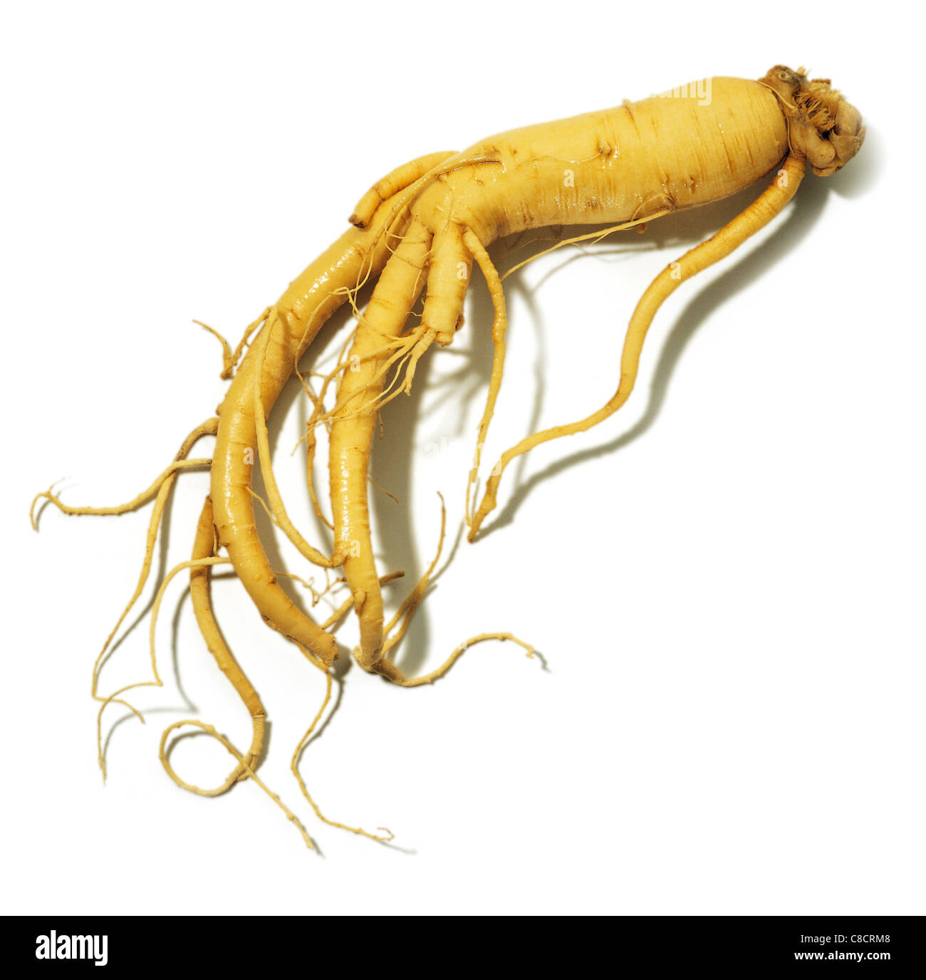 Ginseng root Stock Photo