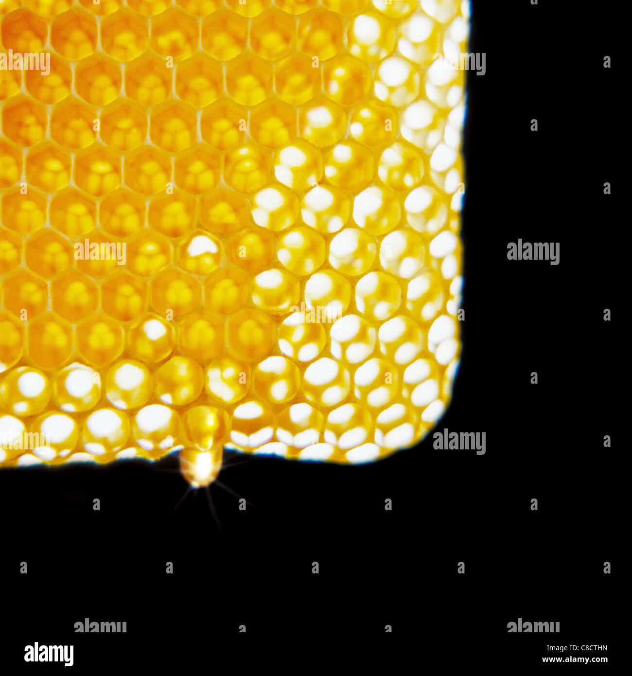 Honeycomb Lattice High Resolution Stock Photography and Images - Alamy