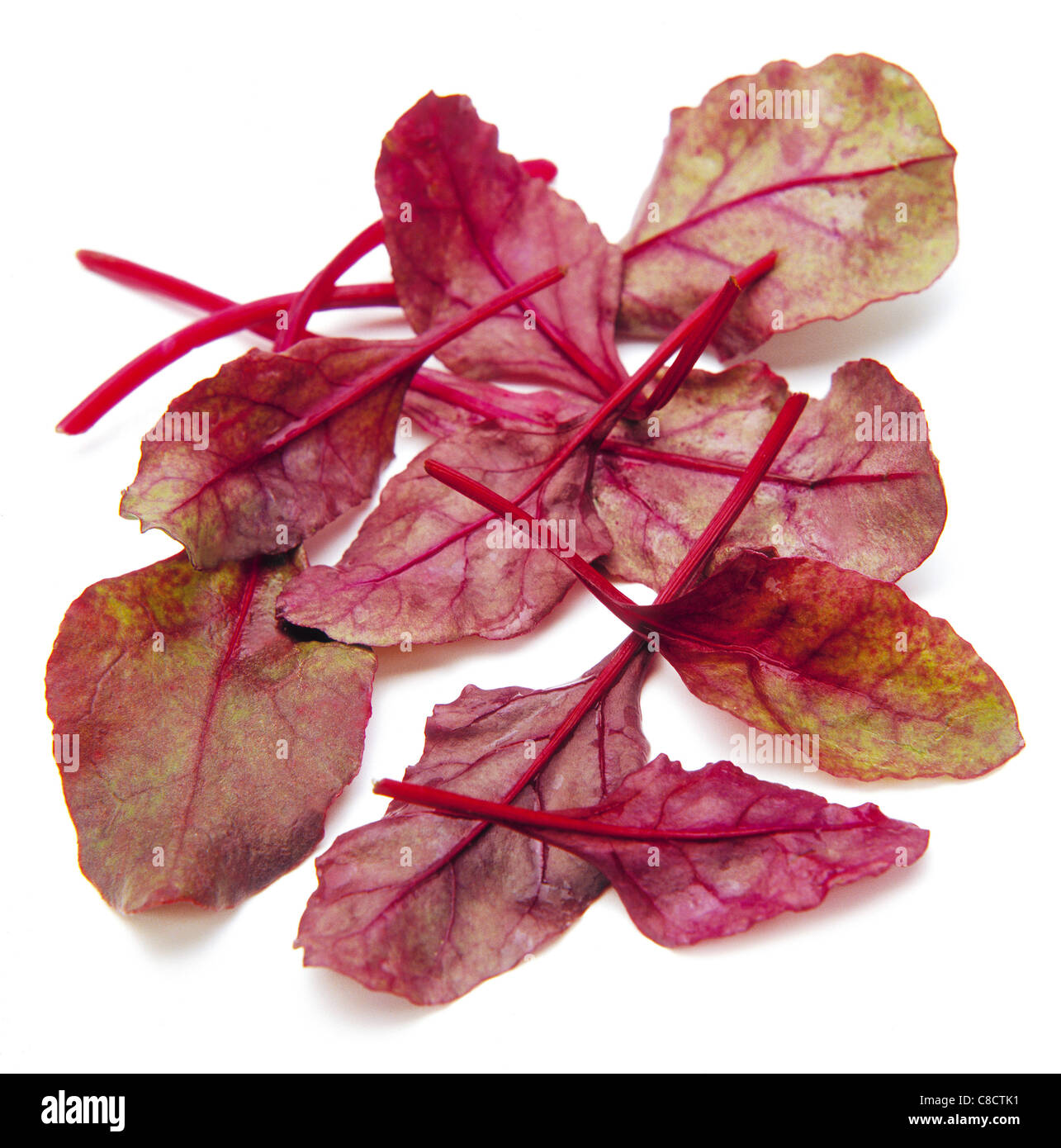 Beet leaf chard Stock Photo Alamy